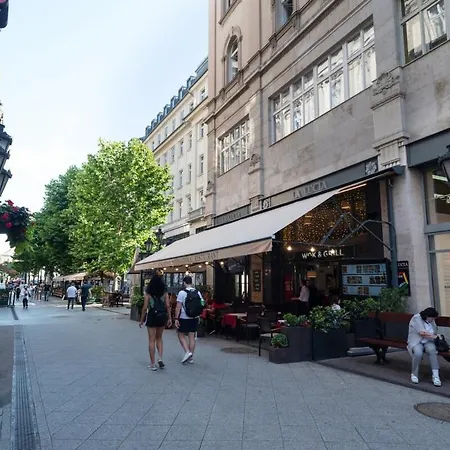 公寓 New Spacious At Superb Location 布达佩斯